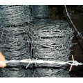 Barbed Wire / Razor Barbed Wire (fabricante especializado)